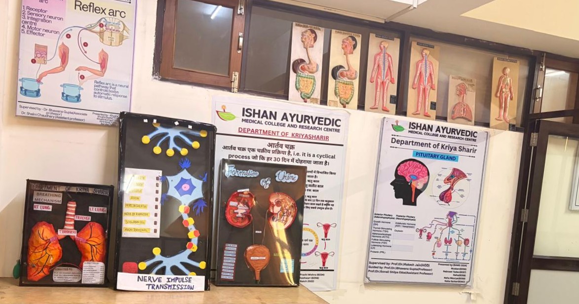 Department of Kriya Sharir - Key area 2